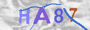 CAPTCHA-Bild