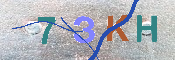 CAPTCHA-Bild